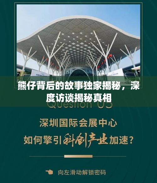 熊仔背后的故事独家揭秘，深度访谈揭秘真相