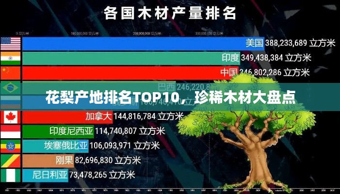 花梨产地排名TOP10，珍稀木材大盘点