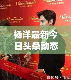 杨洋最新今日头条动态速递