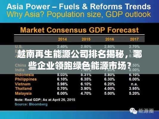 越南再生能源公司排名揭秘，哪些企业领跑绿色能源市场？