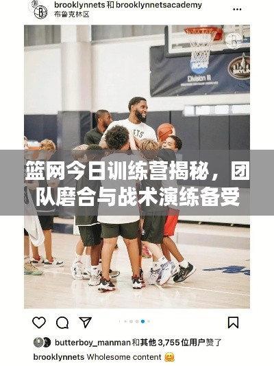 篮网今日训练营揭秘，团队磨合与战术演练备受瞩目