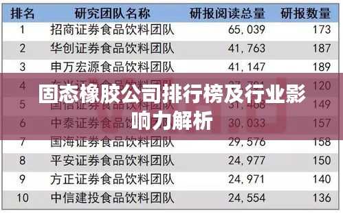 固态橡胶公司排行榜及行业影响力解析