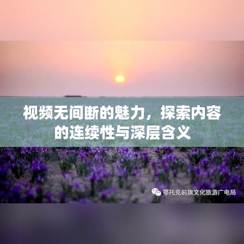 视频无间断的魅力，探索内容的连续性与深层含义