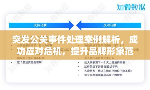 突发公关事件处理案例解析，成功应对危机，提升品牌形象范文展示