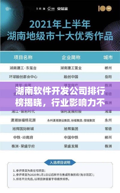 湖南软件开发公司排行榜揭晓，行业影响力不容小觑！