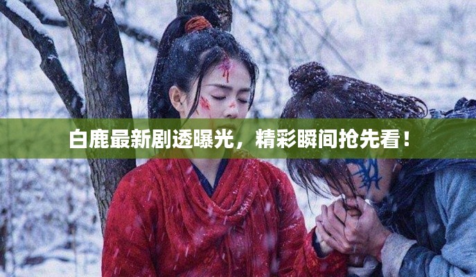白鹿最新剧透曝光，精彩瞬间抢先看！