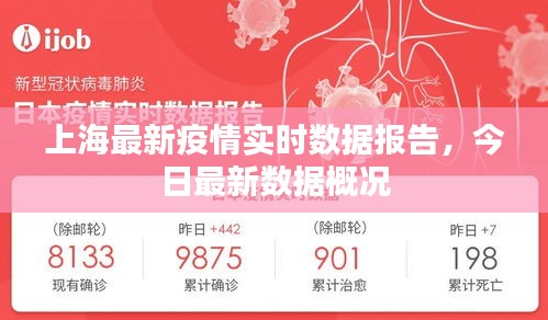 上海最新疫情实时数据报告，今日最新数据概况
