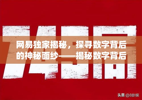 网易独家揭秘，探寻数字背后的神秘面纱——揭秘数字背后的故事，揭开神秘面纱探寻真相（网易独家报道）