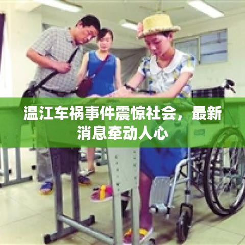 温江车祸事件震惊社会，最新消息牵动人心