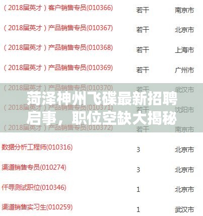 菏泽神州飞碟最新招聘启事，职位空缺大揭秘！