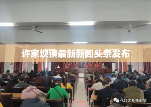 许家坝镇最新新闻头条发布