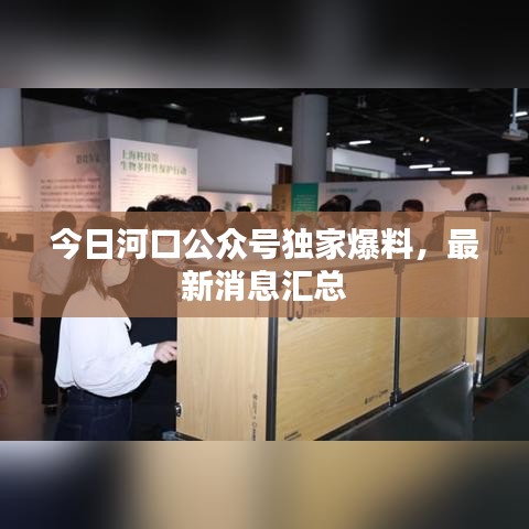 今日河口公众号独家爆料，最新消息汇总