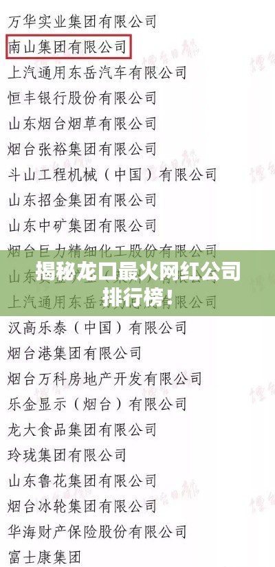 揭秘龙口最火网红公司排行榜！
