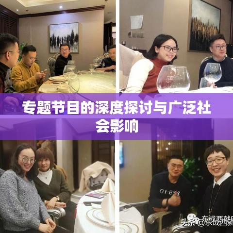 专题节目的深度探讨与广泛社会影响