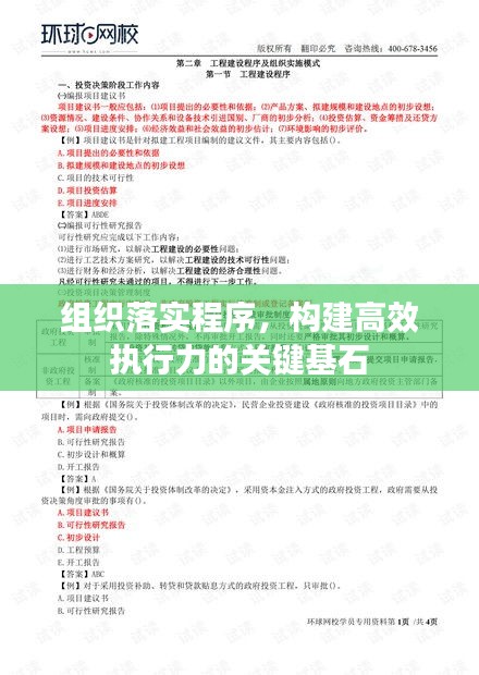 组织落实程序，构建高效执行力的关键基石