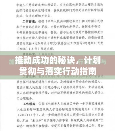 推动成功的秘诀，计划贯彻与落实行动指南