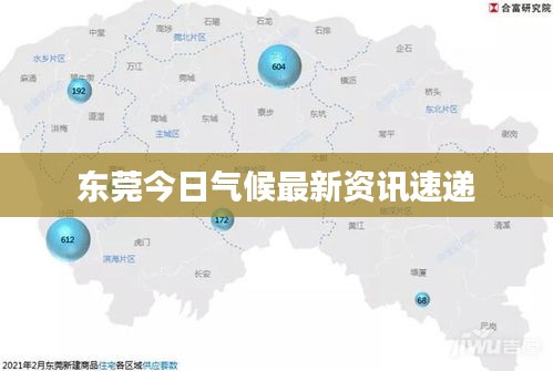东莞今日气候最新资讯速递