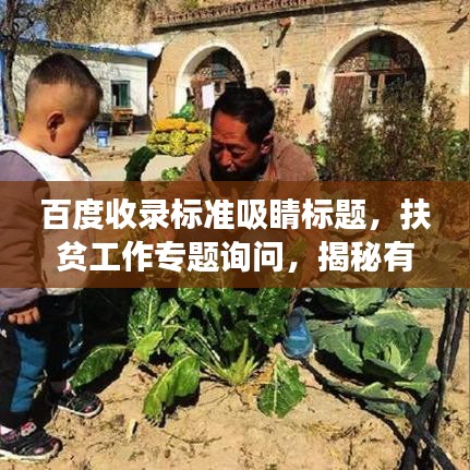 百度收录标准吸睛标题，扶贫工作专题询问，揭秘有效举措，助力脱贫攻坚战！