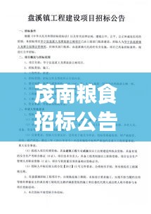 茂南粮食招标公告最新公示，商机不容错过！