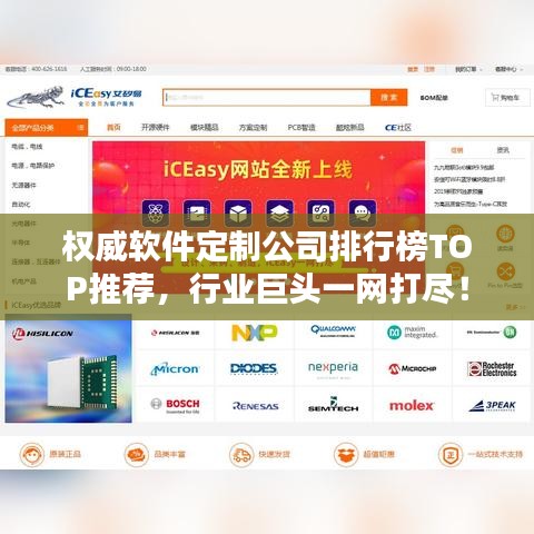 权威软件定制公司排行榜TOP推荐，行业巨头一网打尽！