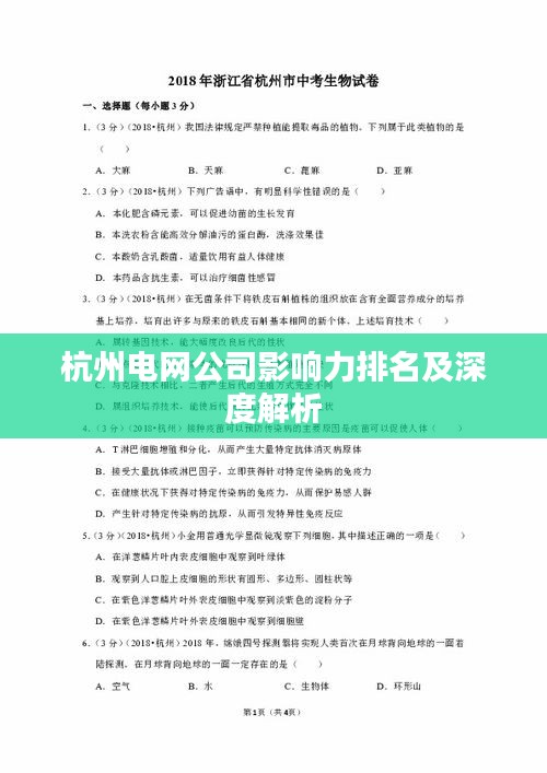 杭州电网公司影响力排名及深度解析