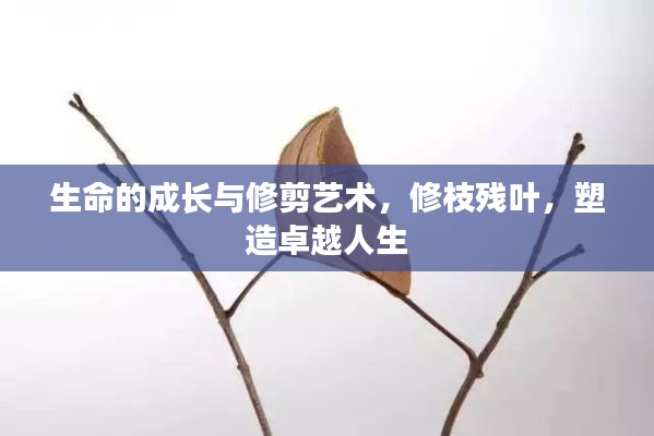 生命的成长与修剪艺术，修枝残叶，塑造卓越人生