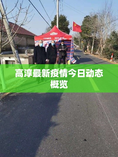 高淳最新疫情今日动态概览