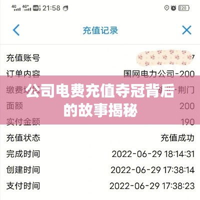 公司电费充值夺冠背后的故事揭秘
