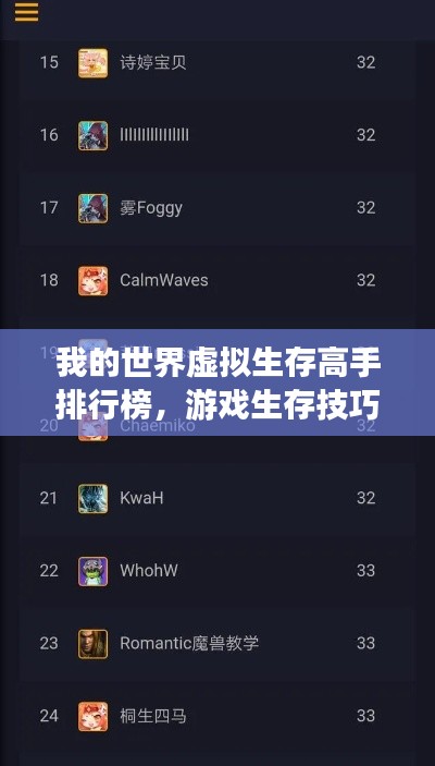 我的世界虚拟生存高手排行榜，游戏生存技巧大揭秘