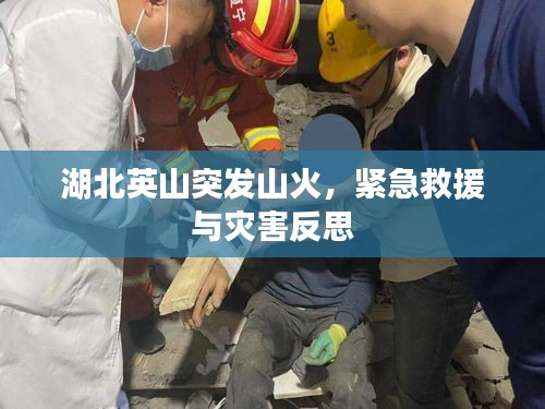 湖北英山突发山火，紧急救援与灾害反思