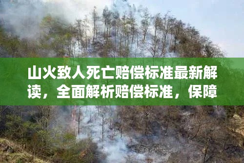 山火致人死亡赔偿标准最新解读，全面解析赔偿标准，保障受害者权益